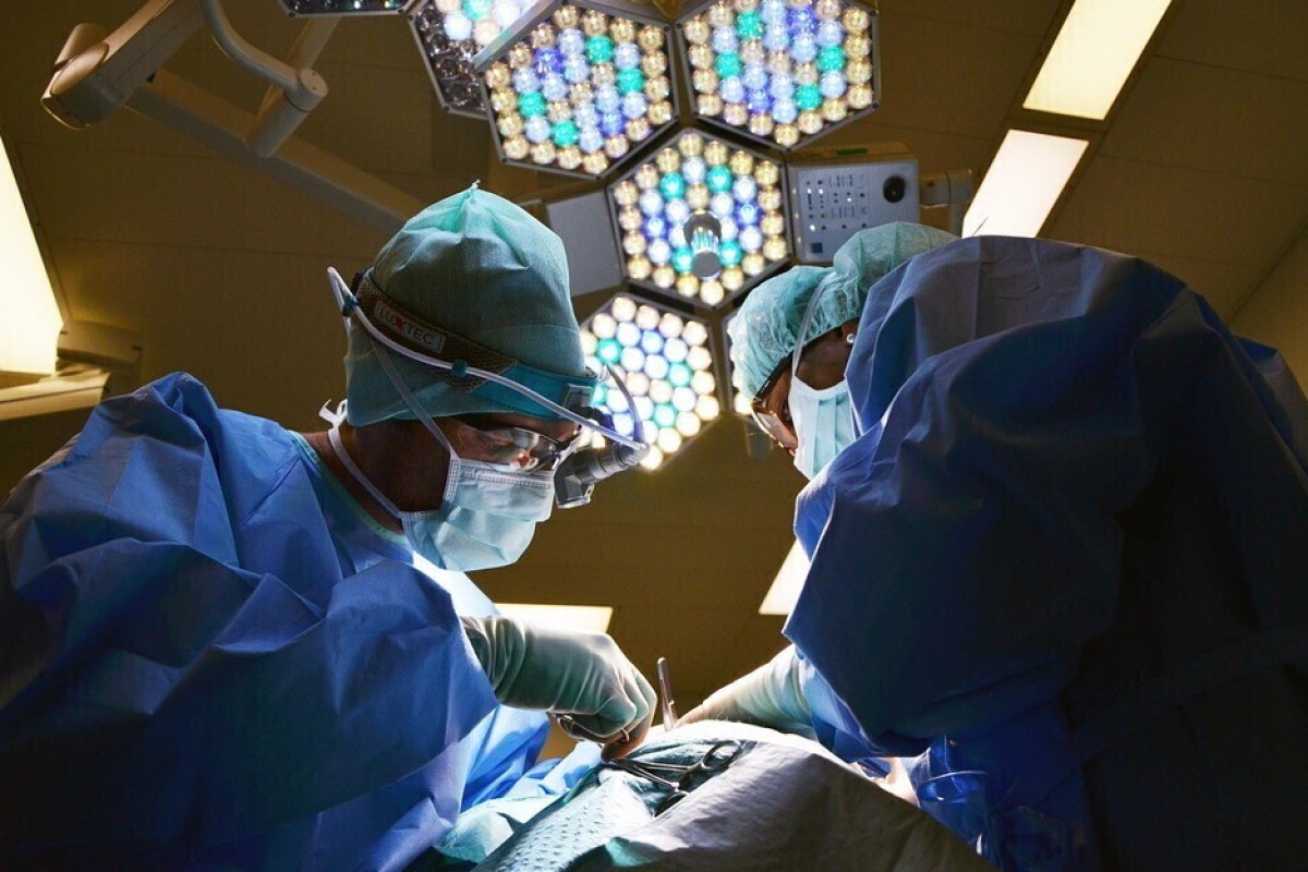 L’Italia tra i migliori Paesi europei per donazioni e trapianti di organi